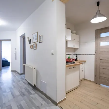 Regina شكلارسكا بوريبا